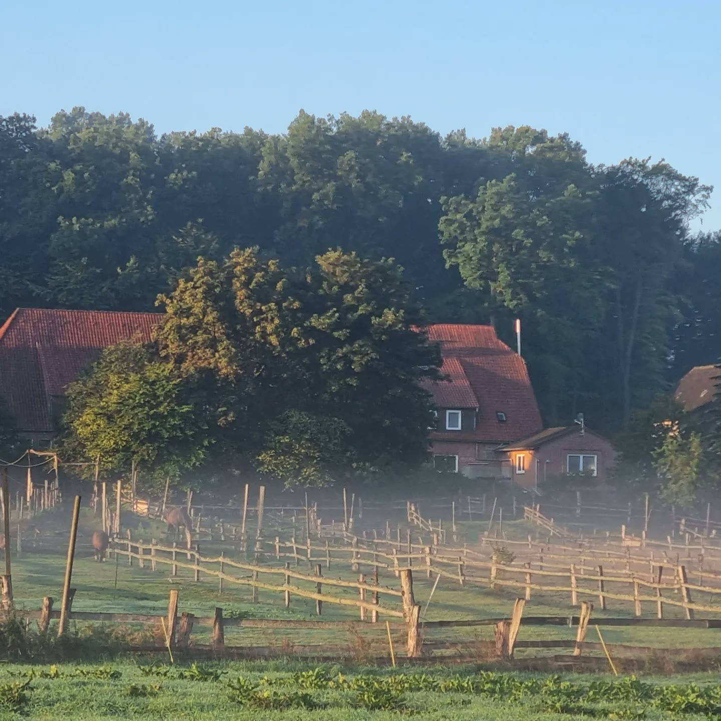 Pension Auetal – Außenansicht